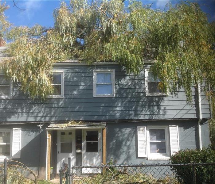 blue duplex house, with a large tree fallen onto roof, green lawn, fence white doors and windows