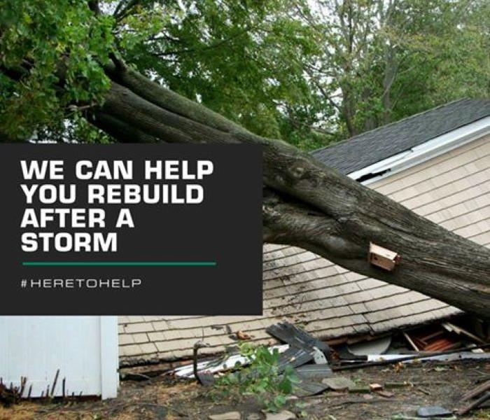 fallen tree, damaged home