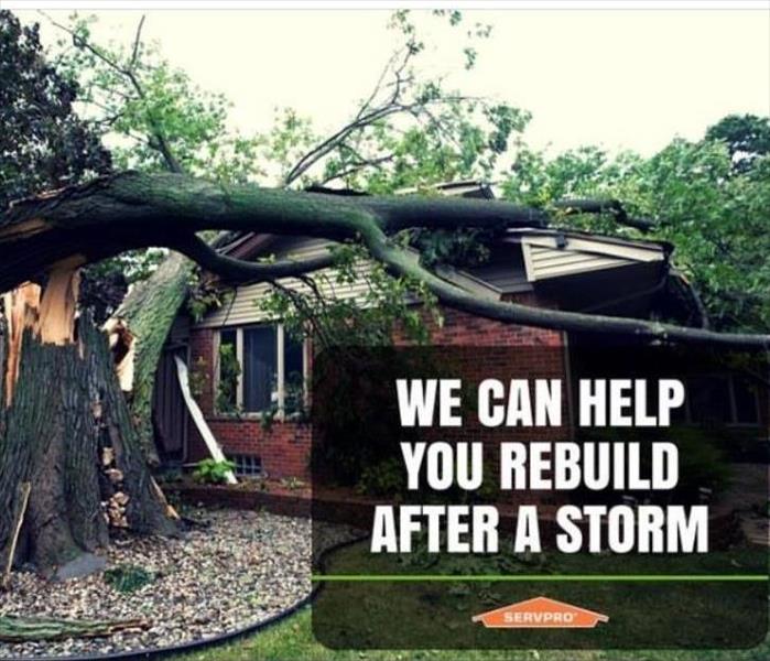 Picture of front of house and lawn onlawn is lanscape with large tree broken and fallen onto the house, servpro logo, script
