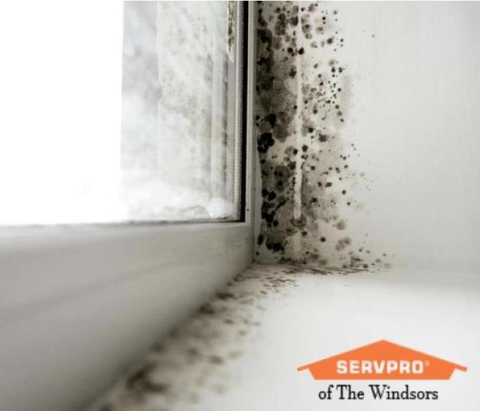 Mold on a window, SERVPRO logo